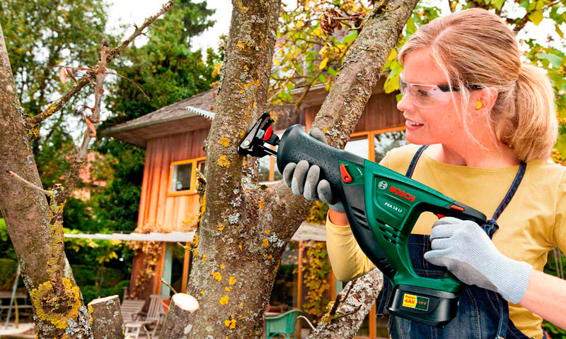 Scie alternative - meilleurs modèles