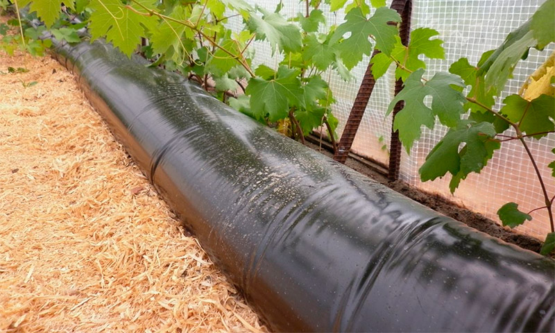 Dissipateur thermique de batterie de stockage de chaleur pour une serre - commentaires sur son utilisation