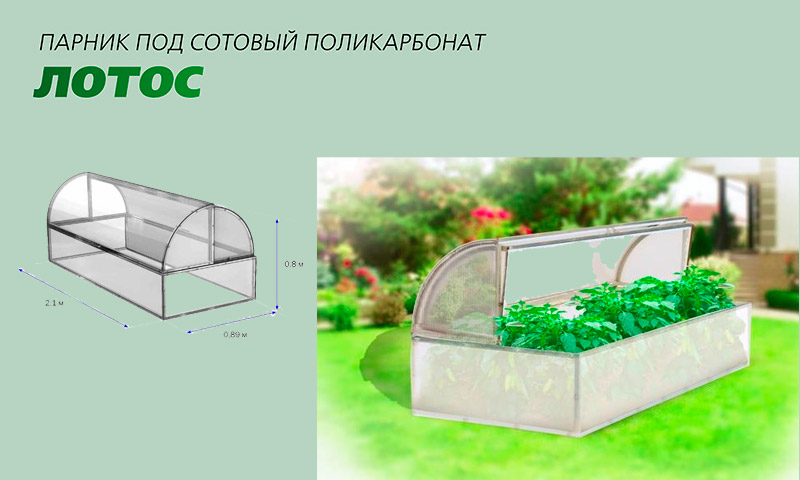 Hotbed Lotus - critiques de producteurs de légumes et de jardiniers