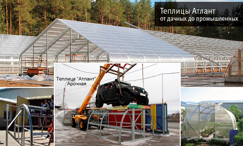 Greenhouse Atlant - avis sur un bâtiment unique