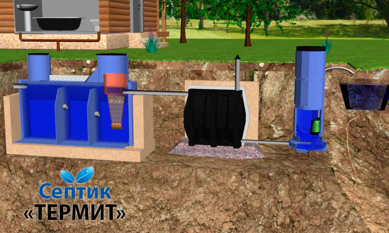 Septic Termite - avis et opinions sur la pertinence de leur utilisation