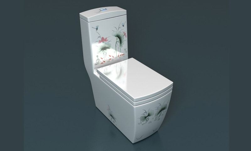 Toilettes monoblocs - Avis et recommandations aux utilisateurs