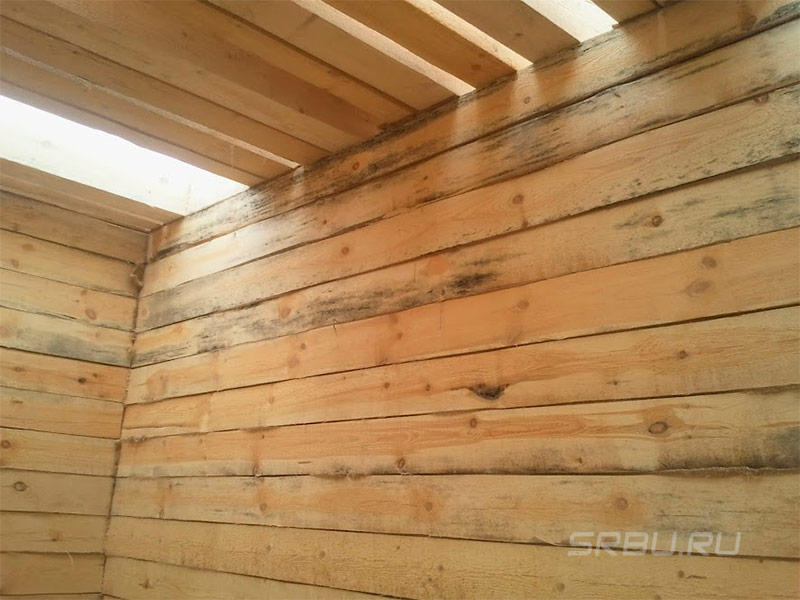 Bois de construction moisis