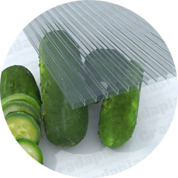 Transmission lumineuse élevée