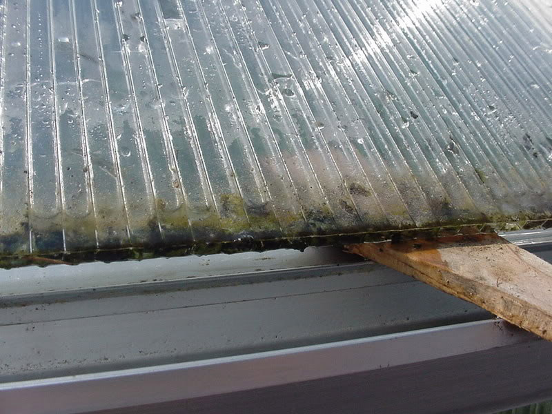 Floraison de polycarbonate cellulaire