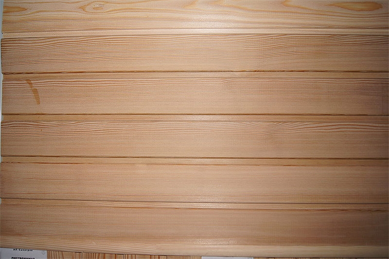 Doublure de conifères